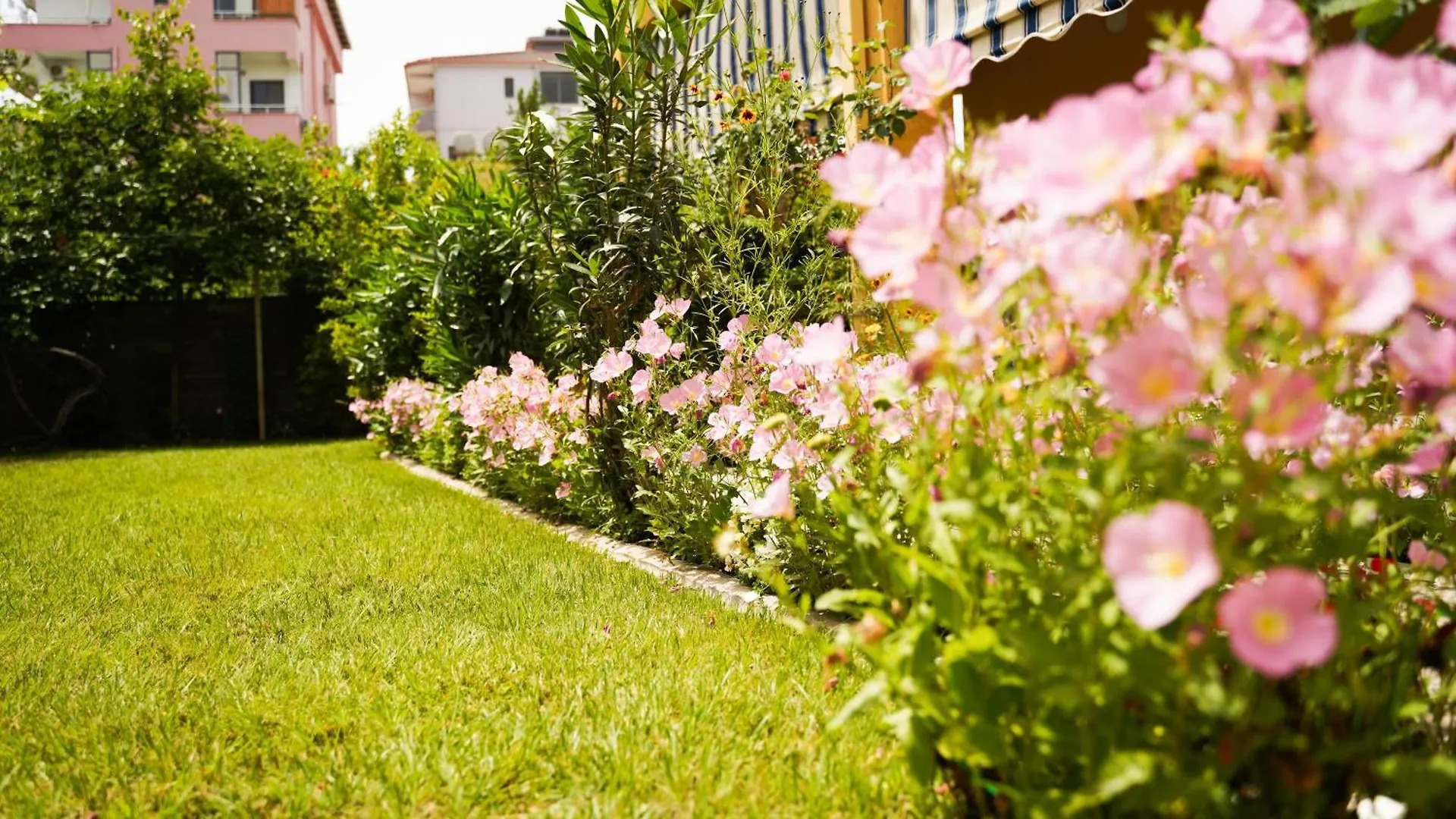 Vila Aliaj Deluxe Groundfloor Apartment With Beautiful Garden Durrës